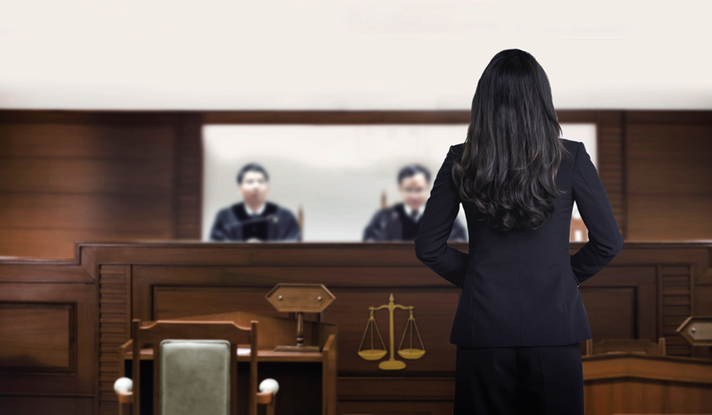 Lawyer in Court Lawyer in Court